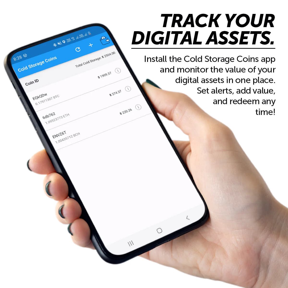 Bitcoin Cash BCH Cold Storage Wallet thumbnail 2